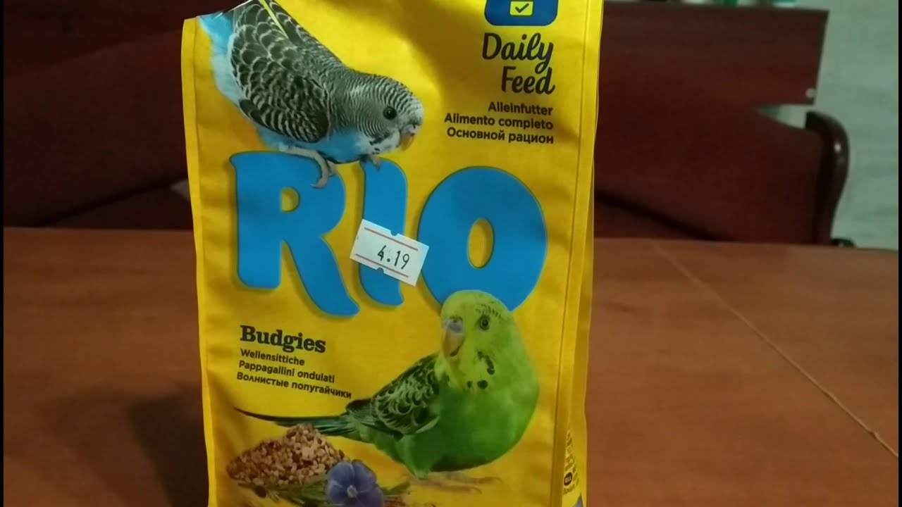 Обзор корма РИО для волнистых попугаев/Лучший корм для волнистого попугая (выпуск  1)