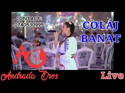 Andrada Oros & Paul si Ilie Pasca - Colaj Banat (LIVE 2018)