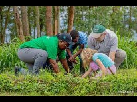 Recycling plastic to oil,cobblestones, plant trees