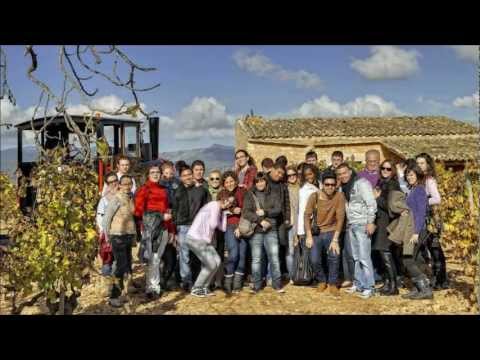 Mallorca Wine Tours