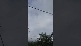 夏っすね。