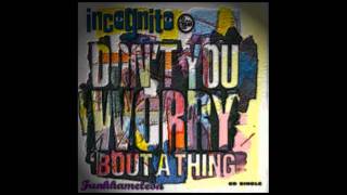 Incognito - Don't You Worry 'Bout A Thing (Funkhameleon Spiced Up Remix)