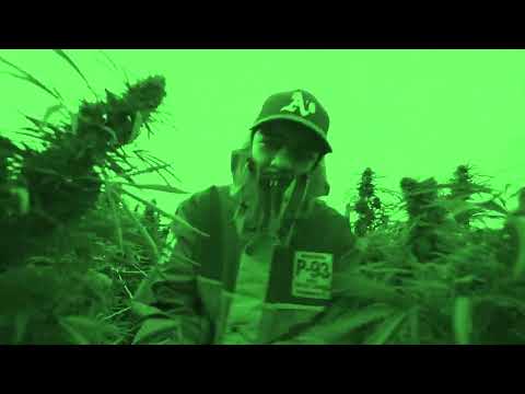 OVI FRE$CKO - NIGHT MODE