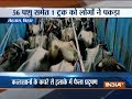 Bihar seals three illegal slaughterhouses in Rohtas, three held