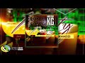Master KG Party Feat Makhadzi Lebb Simons Official Audio