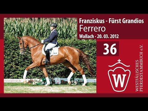 36 Ferrero Wallach v. Franziskus - Fürst Grandios