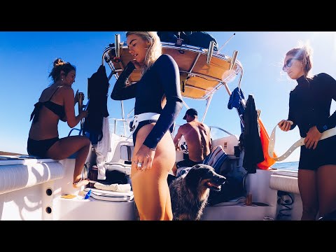 Camping on the Boat Part 2 - Freediving with Sharks and Seaweed Islands