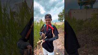 Download lagu Si Bolang's Journal - Playing with a catapult at home and getting a sparrow mp3