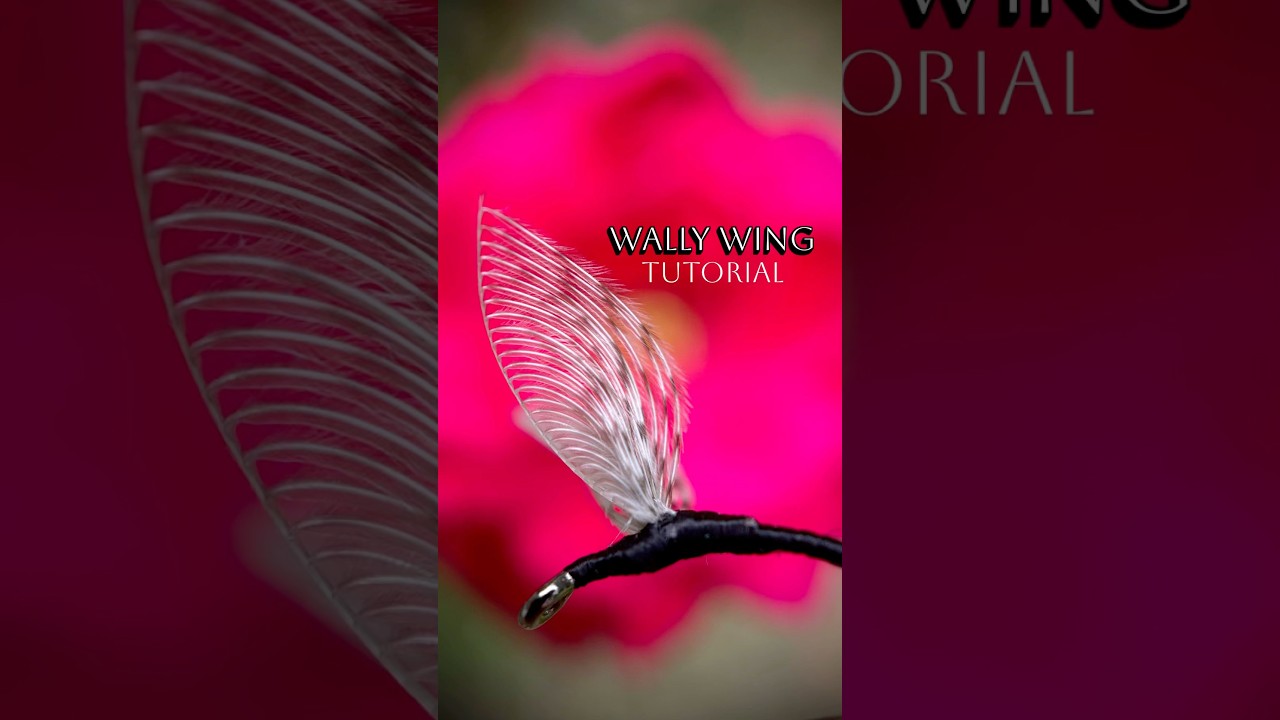 How to tie Wally Wings #flytyingtutorial