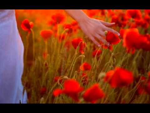 La Rondalla de Saltillo (No te vayas entonces)