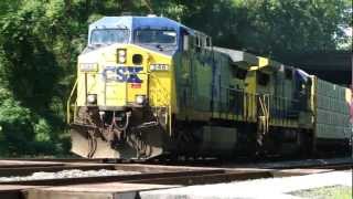 preview picture of video 'CSX With Burlington Northern, Golden, & Chessie Boxcars'