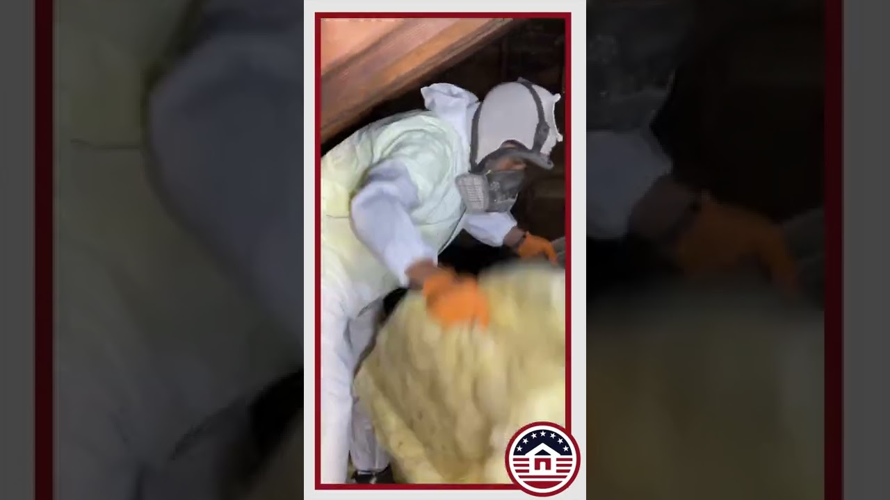 Pulverize Whole Batts With the CoolVac25 Diesel Insulation Removal Vacuum by Cool Machines