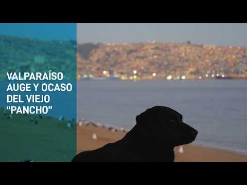 Editorial Puntángeles UPLA reedita libro “Valparaíso auge y ocaso del viejo Pancho / 1830 - 1930”