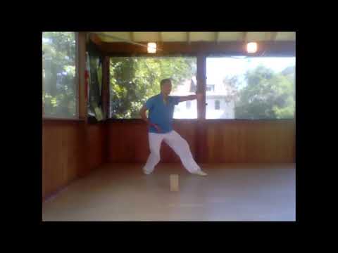 Bagua Zhang - Beginner class