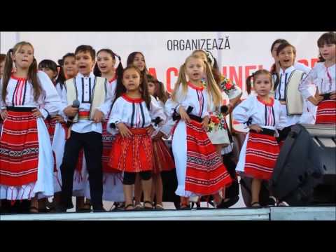 Festival Corbeanca 01 08 2015