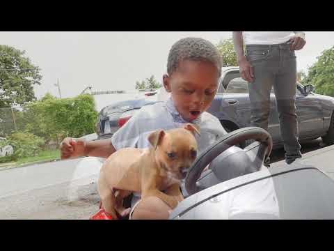 Porch Monkey Pat- Almighty Dolla