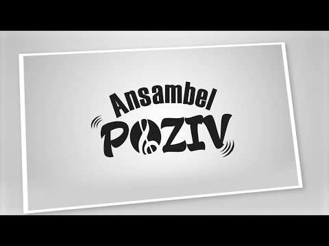 ANSAMBEL POZIV - MARTINOVO