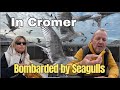 First Campervan Trip Chaos Leveling Fails Giant Fish Seagull Mayhem In Cromer