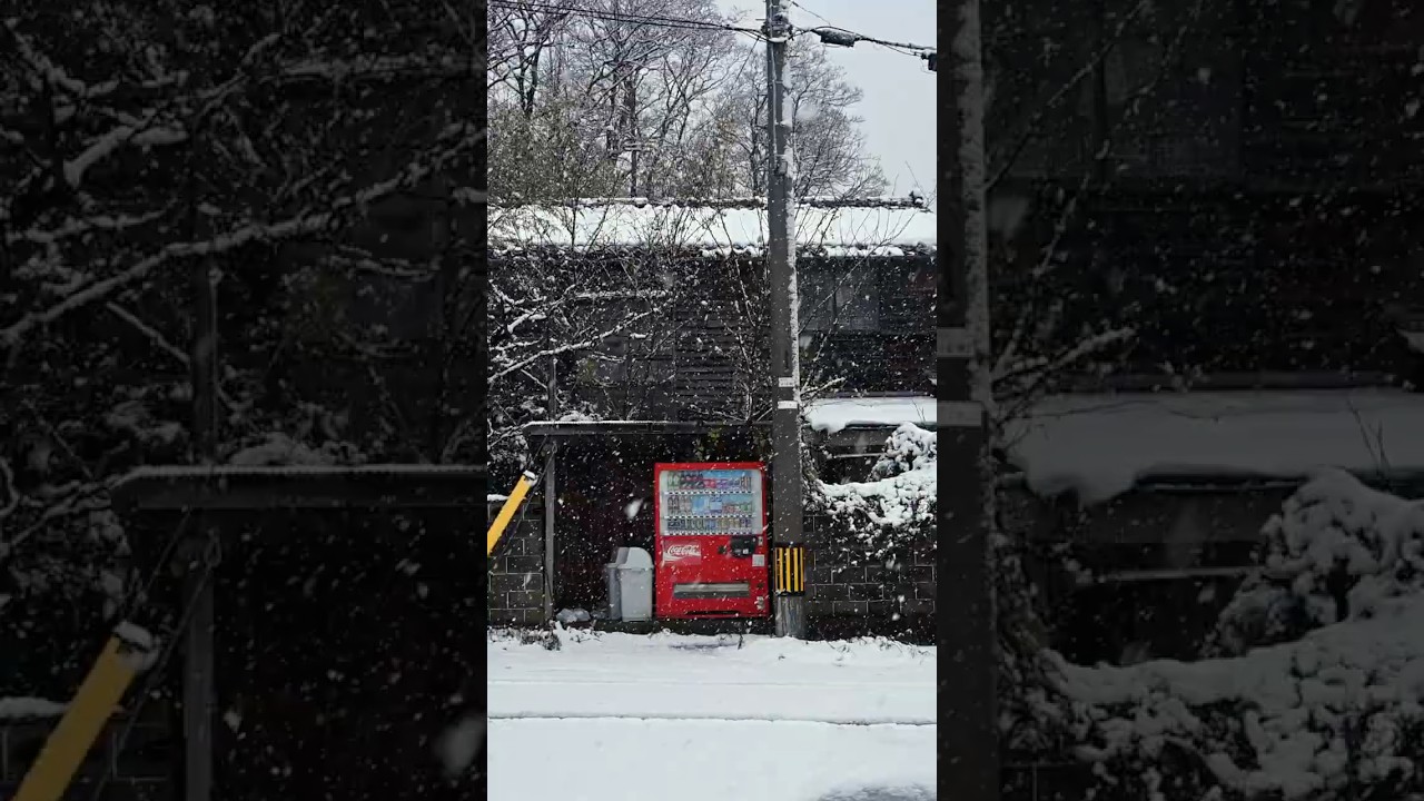 2026.1.2 📍石川県金沢市 #NikonZf #nikonmovie #snowscenery