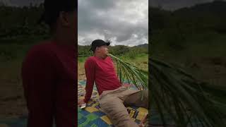 Download lagu story wa terbaru kocak lucu || ngarit || mp3