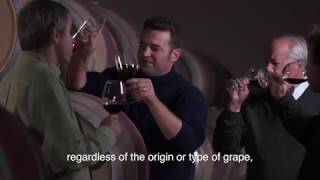 Video Viña Requingua