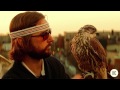 Icebird (RJD2 And Aaron Livingston) - Wander