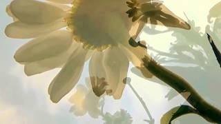 MARK KNOPFLER, A PLACE WHERE WE USED TO LIVE, LYRICS