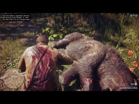 Red Dead Redemption 2 | The Revenant (bear scene)