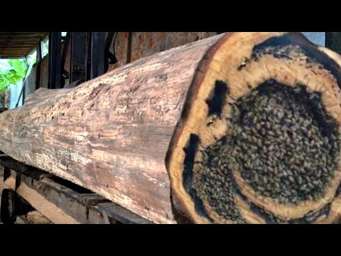 Amazing, Look what inside this teak log || Sawmill
