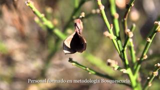 Dehesa Boyal Cerceda HD 1080p