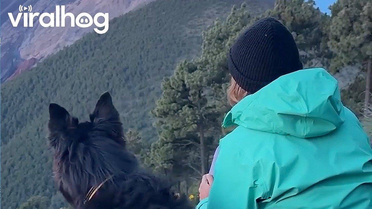 Watching a Volcano Erupt With My Dog || ViralHog