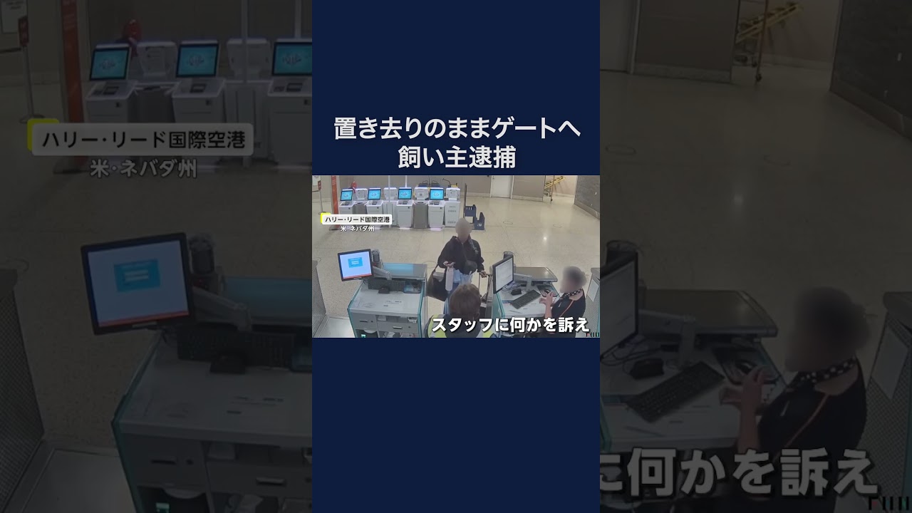 空港に犬を置き去りに…飼い主の女逮捕　犬は警察の家族が引き取る　アメリカ #shorts
