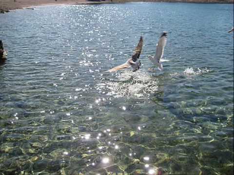 KLAPA ŠIBENIK - JA SAM MLADI DALMATINAC