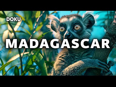 Madagascar (Tierdoku | Madagaskar Doku | ganze Doku auf Deutsch)