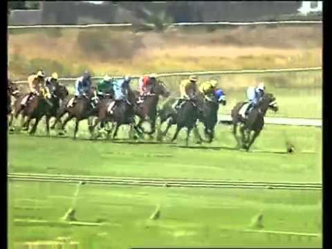 Emerald Cove-TBA PADDOCK STAKES (WFA) (Grade 1) (For Fillies & Mares at Weight For Age) 2011