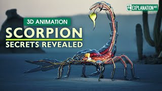 Download lagu Scorpion Anatomy: Fascinating Insights 🦂⭐️⭐️⭐️ mp3 Download lagu Scorpion Anatomy: Fascinating Insights 🦂⭐️⭐️⭐️ mp3