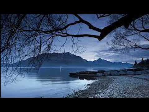 16 Bước tới Hỷ Lạc, Trí Tuệ, Chứng Ngộ   Ajahn Brahm giảng kinh Quán niệm hợi thở