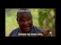 Nwaogo the House Maid