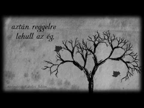 Szabó Balázs Bandája - HÉTKÖZNAPI dalszöveg videó