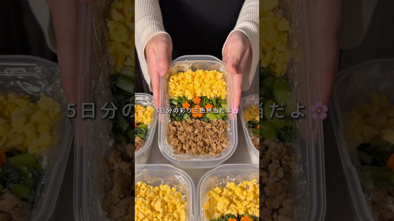 👛1食187円🧊冷凍ストック【彩り三色弁当】