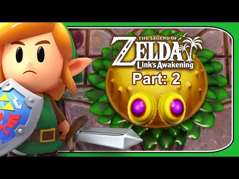 The Legend of Zelda: LINK'S AWAKENING Tail Cave Nintendo Switch Gameplay Walkthrough