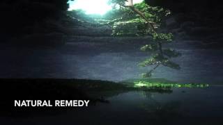 Marcus Revaj - Natural Remedy
