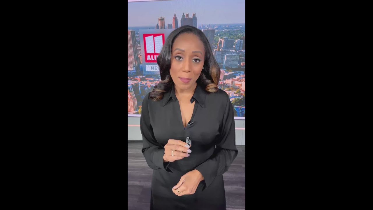 What you need to know about the November 2025 election