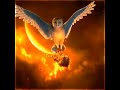Legend Of The Guardians: The Owls Of Ga 39 hoole Soren 
