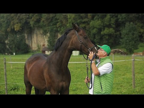 GoodBye "The Sixth Sense"