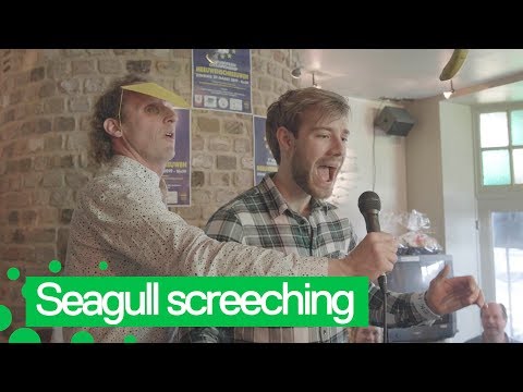 Bizarre Seagull Imitation Championship Held in Belgium
