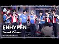 [예능연구소] ENHYPEN – Sweet Venom(엔하이픈 - 스위트 베놈) FanCam | Show! MusicCore | MBC231118방송