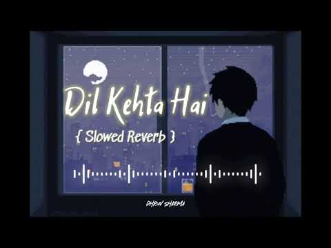Dil Kehta Hai | Akele Hum Akele Tum | Amir Khan | Manisha Koirala | Slowed Reverb song |