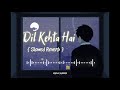 Dil Kehta Hai Akele Hum Akele Tum Amir Khan Manisha Koirala Slowed Reverb Song