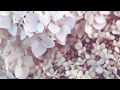 Melanie Martinez Mrs Potato Head Slowed Reverb